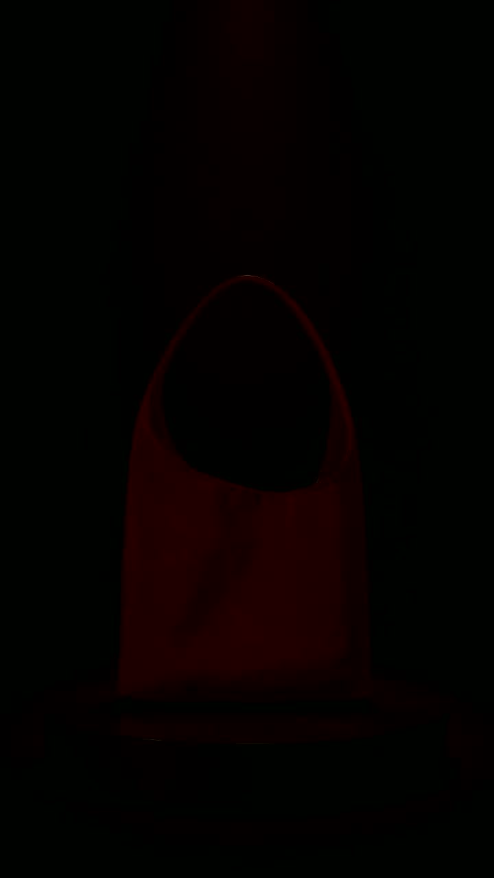 An unreleased nins bag in silhouette